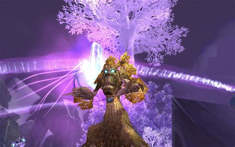 druid healer wotlk